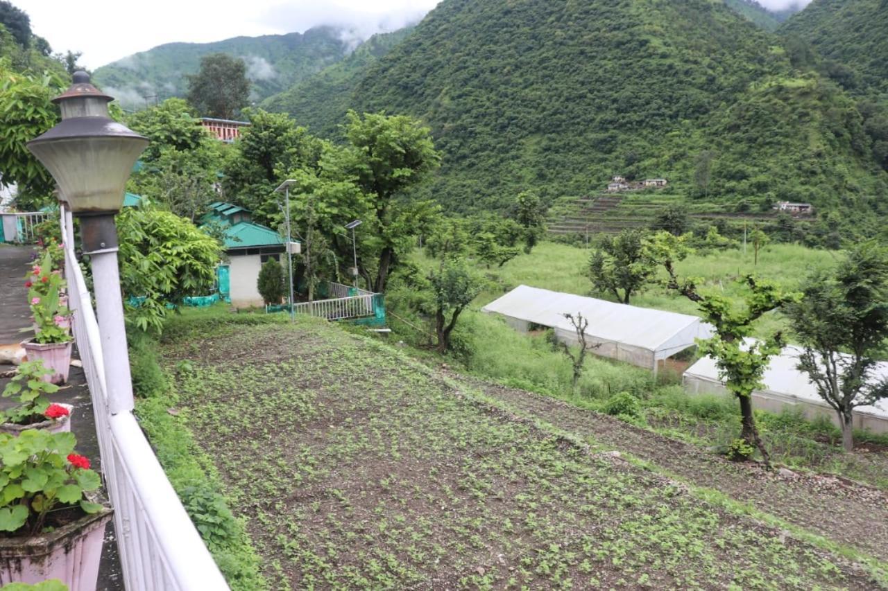 Kalindi Nature Resort Lakhamandal Myani Extérieur photo